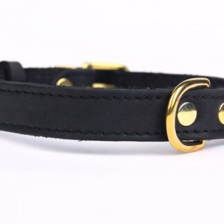 Leren hondenhalsband gold, exclusive