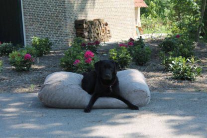 Dog's Companion® Hondenbed Zand Ribcord Extra Small
