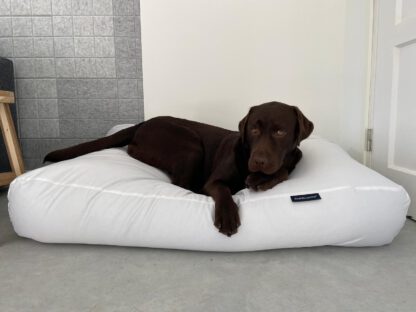 Dog's Companion® Hondenbed wit vuilafstotende coating