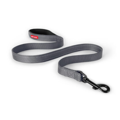 Essential Leash