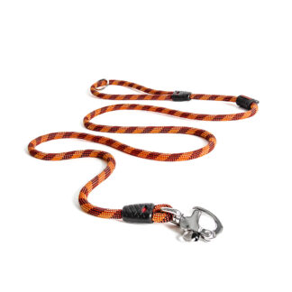 Luca Riem - Halsband en riem