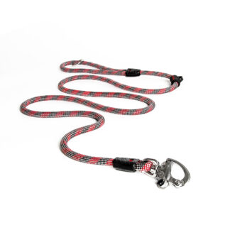Luca Riem - Halsband en riem