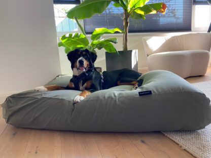 Dog's Companion® Hondenbed basalt extra small