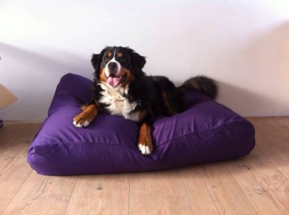Dog's Companion® Hondenbed paars extra small