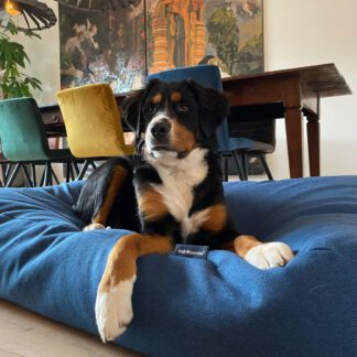 Dog's Companion® Hondenbed Strong Vancouver blue