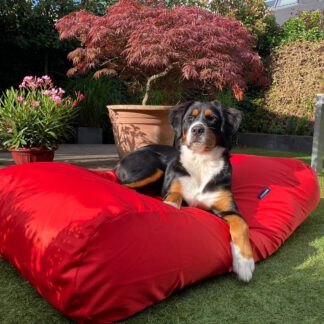 Dog's Companion® Hondenbed rood vuilafstotende coating small