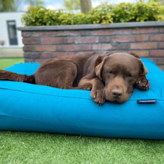 Dog's Companion® Hondenbed Petrol Medium
