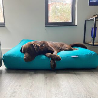 Dog's Companion® Hondenbed turquoise coating