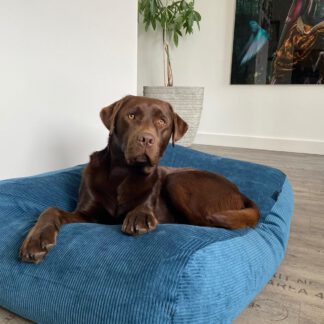 Dog's Companion® Hondenbed petrol ribcord