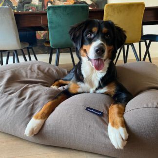 Dog's Companion® Hondenbed taupe (meubelstof) superlarge