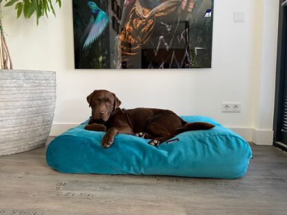 Dog's Companion® Hondenbed strong turquoise velvet