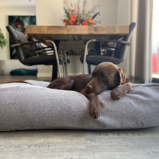 Dog's Companion® Hondenbed Tweed grey extra small