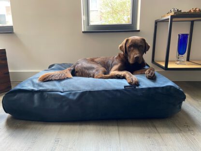 Dog's Companion® Hondenbed strong midnight blue velvet extra small