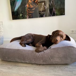Dog's Companion® Hondenbed soft velvet grey