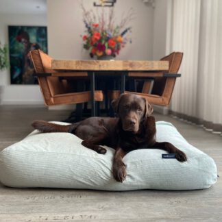 Dog's Companion® Hondenbed cool mintgroen ribcord