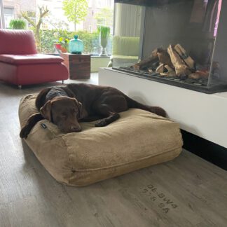 Dog's Companion® Hondenbed duo cord gold