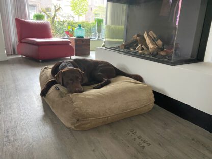 Dog's Companion® Hondenbed duo cord gold
