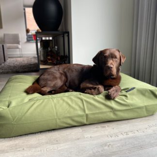 Dog's Companion® Hondenbed olive