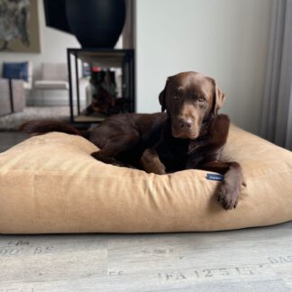 Dog's Companion® Hondenkussen moonlight chenille velours