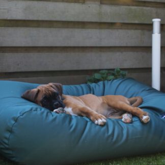 Dog's Companion® Hondenbed groen vuilafstotende coating extra small