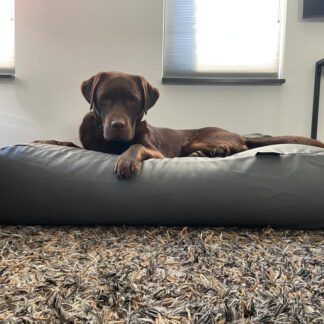 Dog's Companion® Hondenbed muisgrijs leather look large