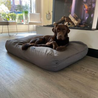 Dog's Companion® Hondenkussen muisgrijs extra small