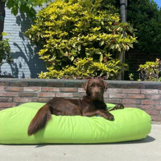 Dog's Companion® Hondenbed lime extra small