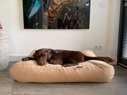 Dog's Companion® Hondenbed camel smalle ribcord large