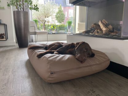 Dog's Companion® Hondenbed taupe leather look small