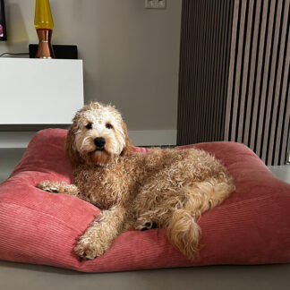 Dog's Companion® Hondenbed oud roze ribcord small