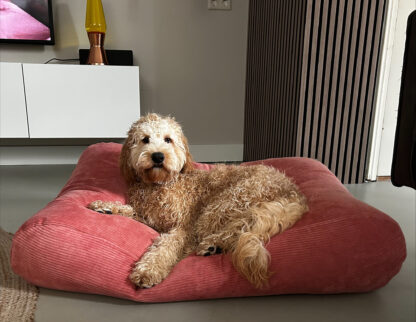 Dog's Companion® Hondenbed oud roze ribcord small