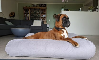 Dog's Companion® Hondenbed muisgrijs smalle ribcord