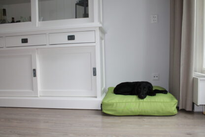 Dog's Companion® Benchkussen 68 x 62 x 10 cm lime