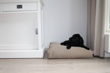 Dog's Companion® Beige benchkussen 58 x 45 x 12 cm