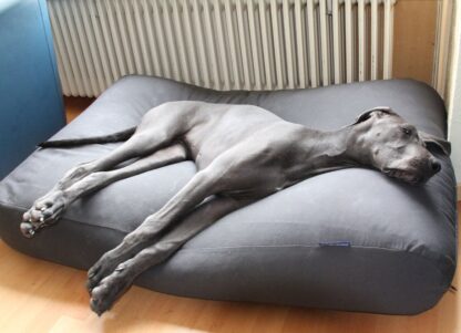 Dog's Companion® Hondenkussen muisgrijs large katoen
