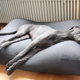 Dog's Companion® Hondenkussen muisgrijs katoen superlarge