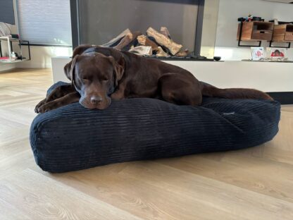Dog's Companion® Hondenbed black giant ribcord small