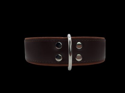 Leren hondenhalsband