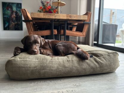 Dog's Companion® Hondenbed olive giant ribcord small