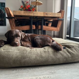 Dog's Companion® Hondenbed olive giant ribcord medium
