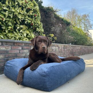 Dog's Companion® Hondenbed rafblauw double ribcord extra small
