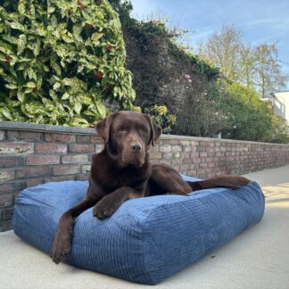 Dog's Companion® Hondenbed rafblauw double ribcord large