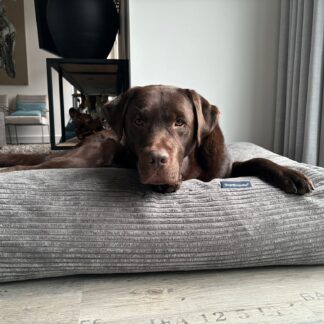 Dog's Companion® Hondenbed muisgrijs giant ribcord superlarge