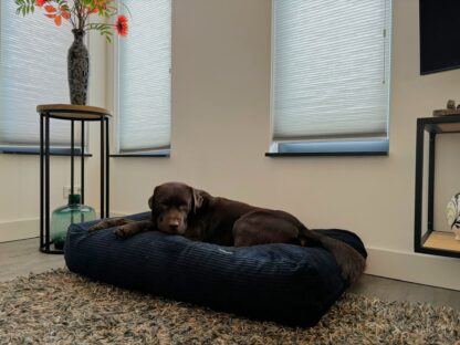 Dog's Companion® Hondenbed donkerblauw double ribcord large