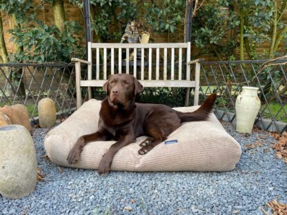 Dog's Companion® Hondenbed lever double ribcord superlarge