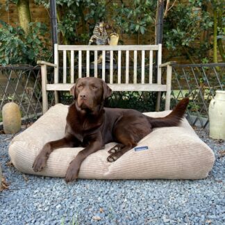 Dog's Companion® Hondenbed lever double ribcord large