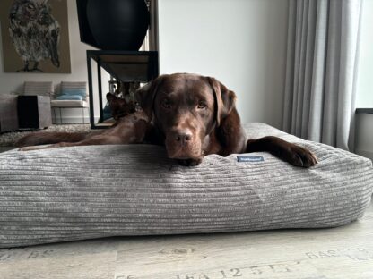 Dog's Companion® Hondenbed muisgrijs giant ribcord large