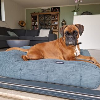 Dog's Companion® Hondenbed oud groen double ribcord extra small