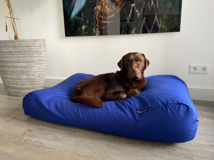 Dog's Companion® Hondenbed royal blue large