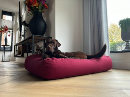 Dog's Companion® Hondenbed wijnrood extra small